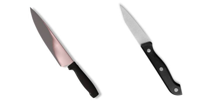 Petty Knife vs Paring Knife