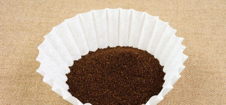 Can You Use Coffee Filters In An Air Fryer
