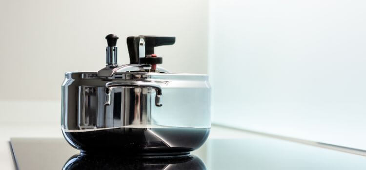 aluminum vs stainless steel pressure cooker 