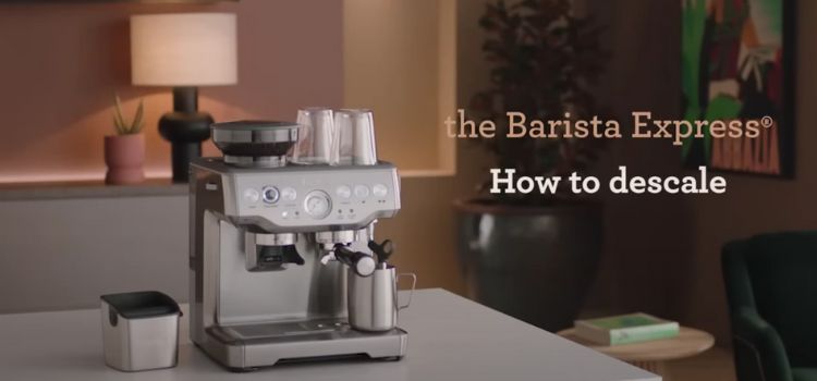 How To Descale Breville Barista Express