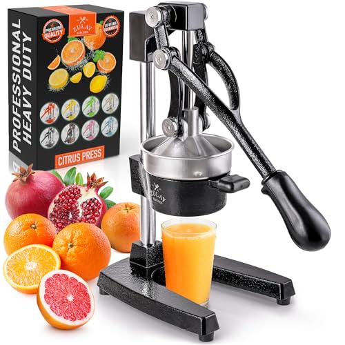 Best Pomegranate Juicer