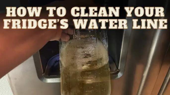 How to Clean Ge Water Dispenser